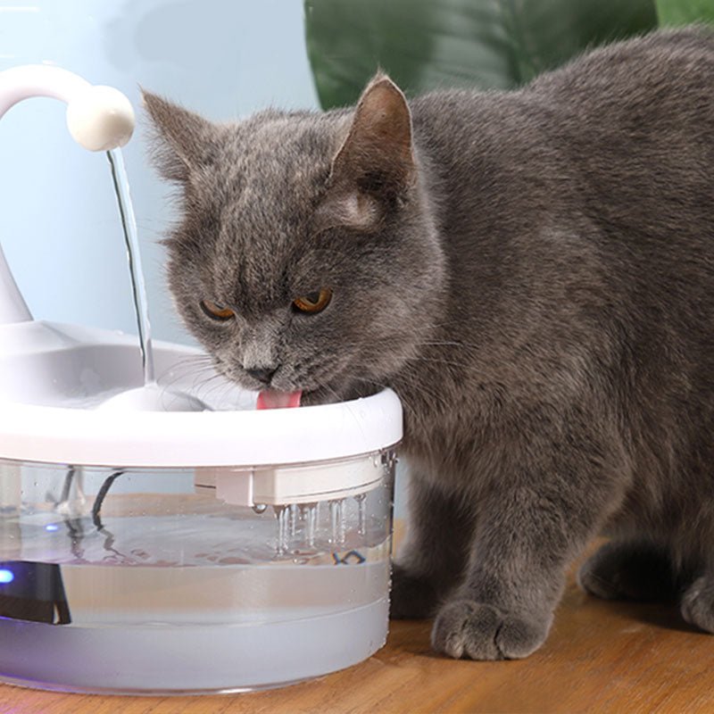 T&T Pet Drinking Sink